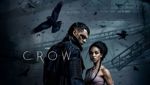 The Crow